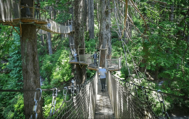SF to Vancouver – The Ultimate West Coast Road Trip