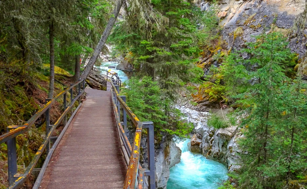 Things to do in banff with kids johnston canyon