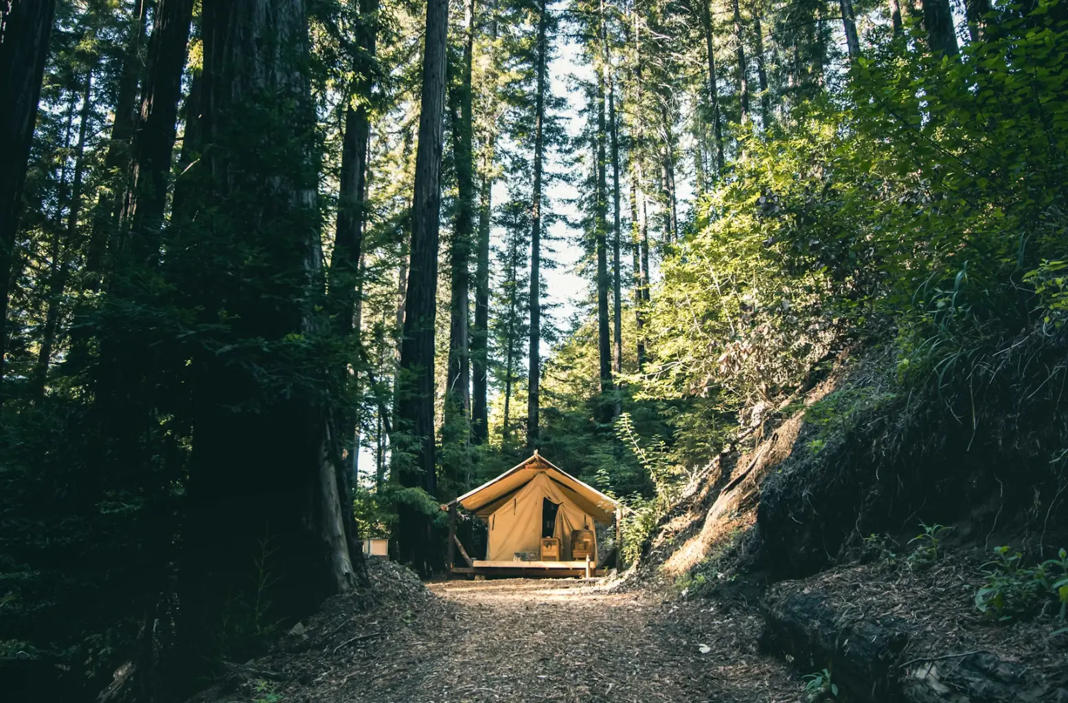 Big Sur Glamping Redwoods